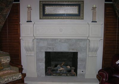 Fireplace Surround - Lion