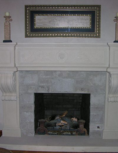 Fireplace Surround - Lion